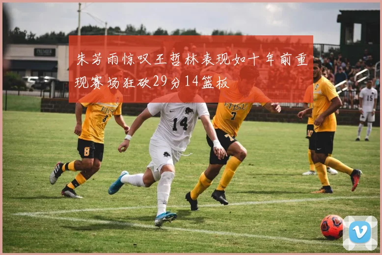 朱芳雨惊叹王哲林表现如十年前重现赛场狂砍29分14篮板